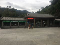 -鼎湖山风景区