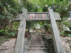 -小洲村