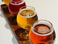 -浩爷羊蝎子火锅(望京店)