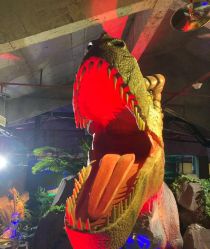 -恐龙探索乐园(磁器口店)