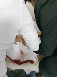 点击看大图 -雅安米优果儿童摄影