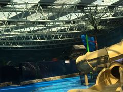 -青岛东方影都融创水世界