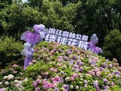 -上海滨江森林公园