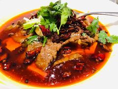 -新吉士·上海菜(浦东LCM置汇旭辉店)