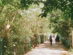 -亲兄弟真人CS团建拓展基地