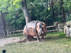 -上海野生动物园