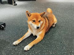 -博纳私人订制健身(中集美兰湖店)