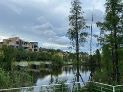 -碧桂园润杨溪谷温泉酒店