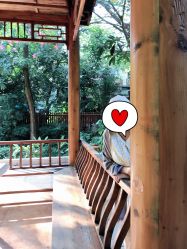 -宝生月子中心(独栋园林·福田店)