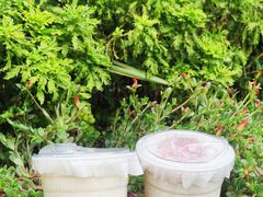 -Jazcu珍仕菓鲜榨果汁(西单大悦城店)