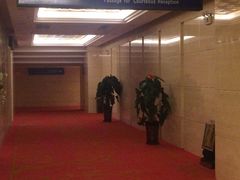 -乌鲁木齐天山国际机场-T3航站楼