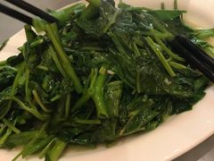 -队长面馆 La Pasteria del Capitano