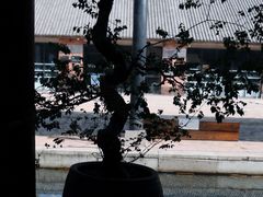 -元生咖啡(陶溪川店)