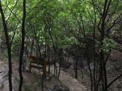 -十渡东湖港风景区