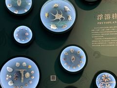 -中国湿地博物馆