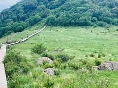 -白草畔自然风景区