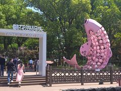 -金鸡湖桃花岛
