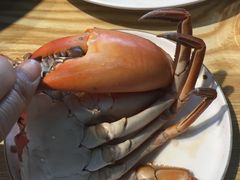 缅甸青蟹-九万士多港式海鲜粥底火锅(回龙观店)