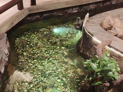 -顺峰(农展馆店)