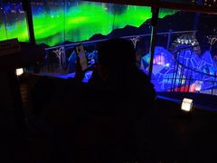 -CGV星星影城(颐堤港ScreenX店)