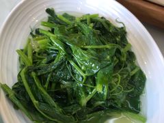 清炒豌豆尖-新川办餐厅