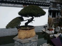 -水绘园