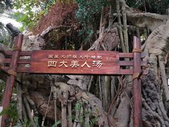 -龙达温泉生态城