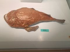 -天津自然博物馆