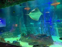 -沈阳海洋探索中心