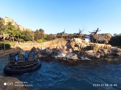 -上海迪士尼度假区