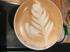☕️拉花-星巴克(讯美科技广场店)