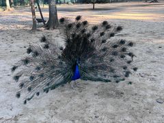 -秦皇岛野生动物园