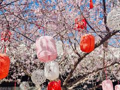 -三里河公园
