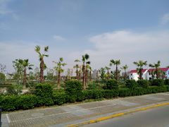 -上海海湾国家森林公园