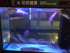 -肆月河豚·淮扬菜·湘菜(华天店)