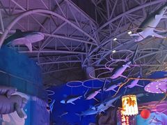 -烟台海昌鲸鲨海洋公园