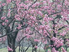 -北京明城墙遗址公园
