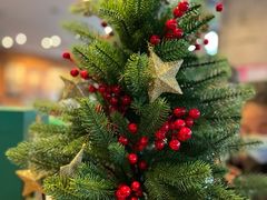 -星巴克(潍坊泰华广场店)