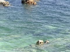 -海岛日记(养马岛店)