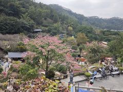 -广东天露山旅游度假区