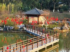 -广西壮族自治区药用植物园