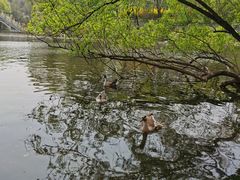 -石家庄市动物园