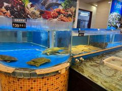-万荣烤鸭店·北京菜(天坛店)