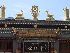 -金塔寺