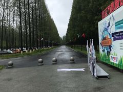 -黄海国家森林公园