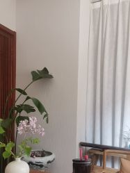 -花间禅净·瑜伽