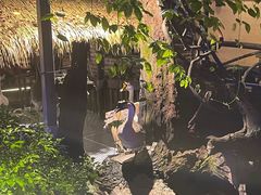 -优之名鹅城