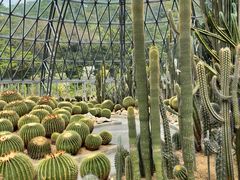 -深圳仙湖植物园