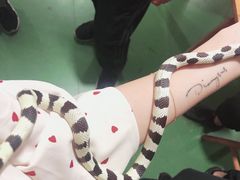 -藦茜花园宠物主题亲子互动体验馆(国顺东路店)