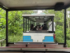 -渔岛海洋度假区